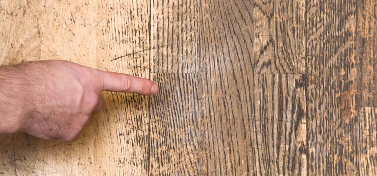 Wood Door Scratch Repair in Santee